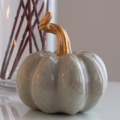 Grey And Gold Speckled Pumpkin - MHRMS265_1