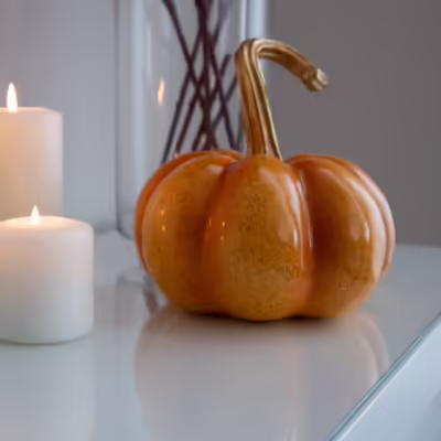 Vibrant Orange Pumpkin - MHRMS267_1